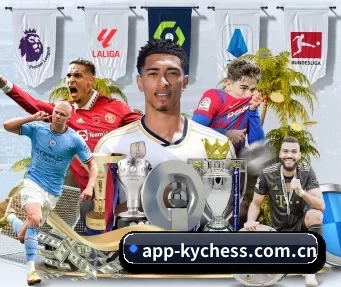 app-kychess.com.cn APP